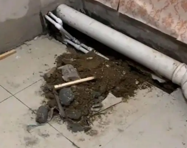 巴马卫生间漏水检测哪家好