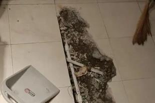 巴马卫生间漏水检测电话